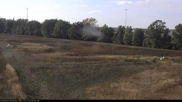 Cell 2_23-10-12_16-26-46-99