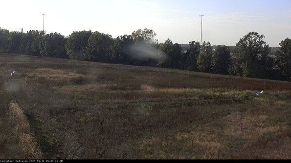 Cell 2_23-10-12_17-33-45-99