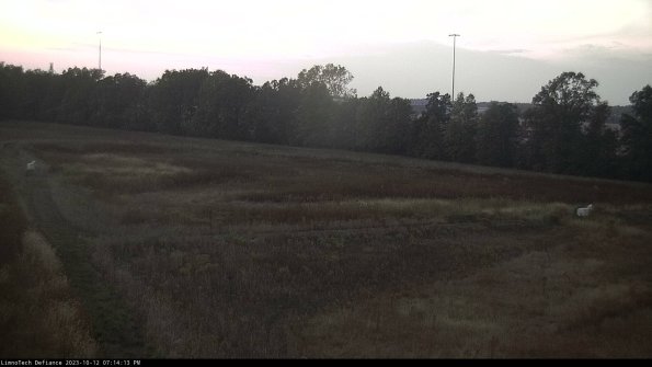 Cell 2_23-10-12_19-14-14-02