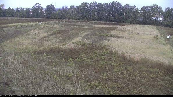 Cell 3_23-10-12_12-32-47-98