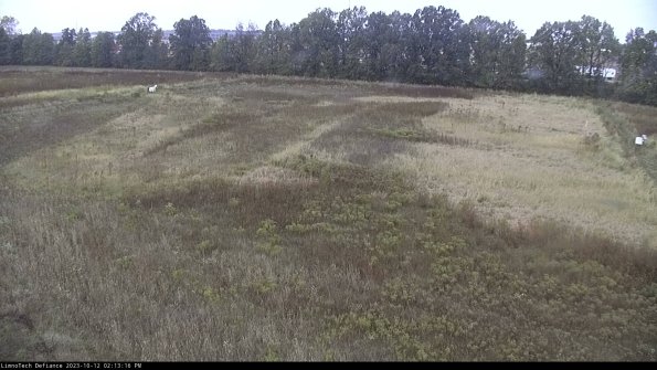 Cell 3_23-10-12_14-13-17-00