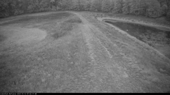 Cell 4 to Basin_23-10-12_07-32-17-99