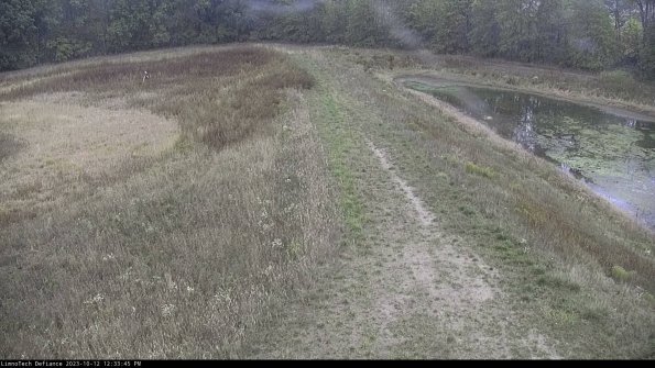 Cell 4 to Basin_23-10-12_12-33-45-97