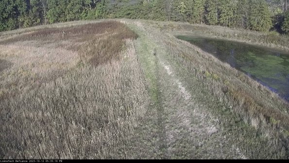 Cell 4 to Basin_23-10-12_17-35-10-98