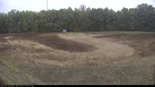 Cell 4_23-10-12_12-33-15-98