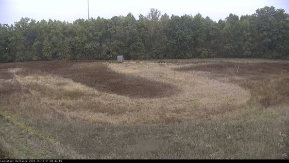 Cell 4_23-10-12_13-06-44-99