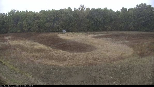 Cell 4_23-10-12_13-40-14-98