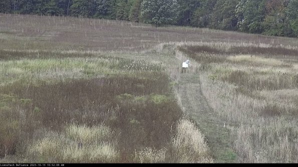 Cell 1 to 2_23-10-13_10-52-10-00