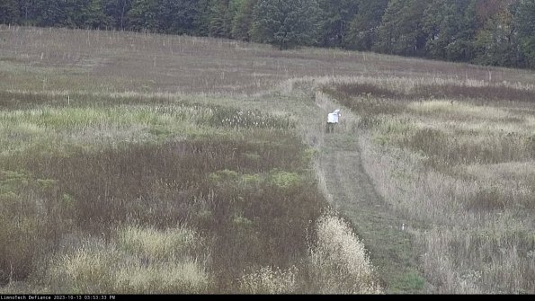 Cell 1 to 2_23-10-13_15-53-33-97