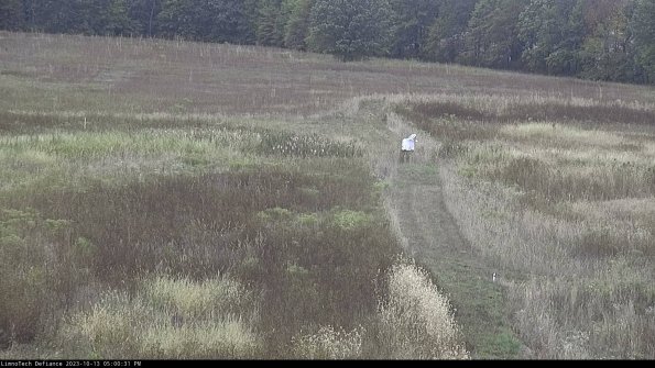 Cell 1 to 2_23-10-13_17-00-31-97