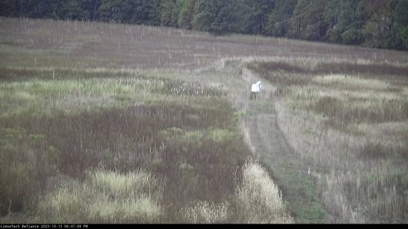 Cell 1 to 2_23-10-13_18-41-01-00