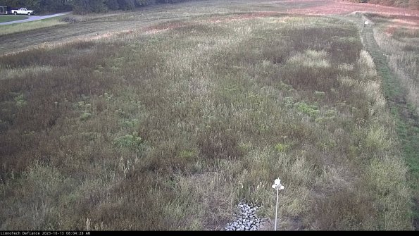 Cell 1_23-10-13_08-04-29-00