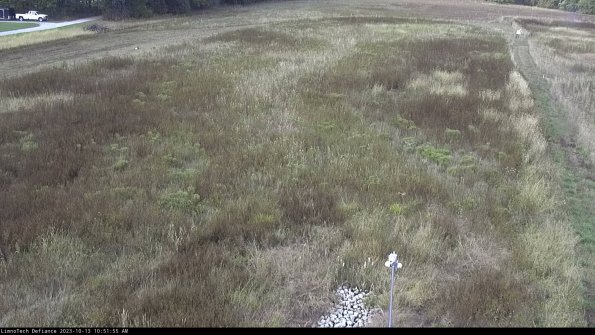 Cell 1_23-10-13_10-51-55-98