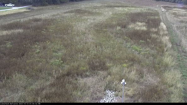 Cell 1_23-10-13_13-05-52-99