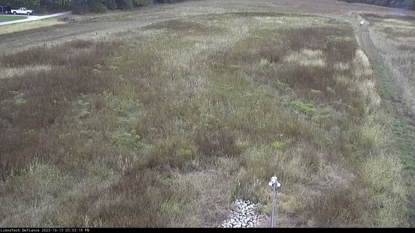 Cell 1_23-10-13_15-53-19-99