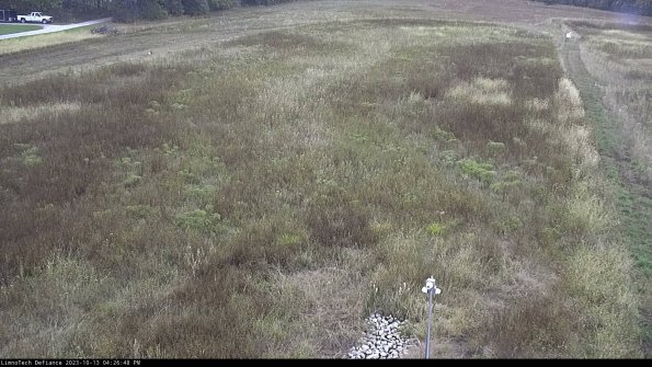 Cell 1_23-10-13_16-26-49-01