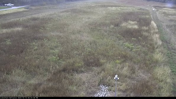 Cell 1_23-10-13_17-33-49-01