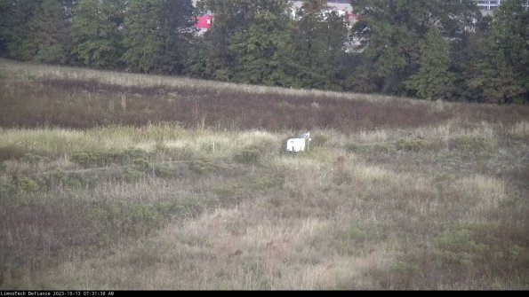 Cell 2 to 3_23-10-13_07-31-39-18