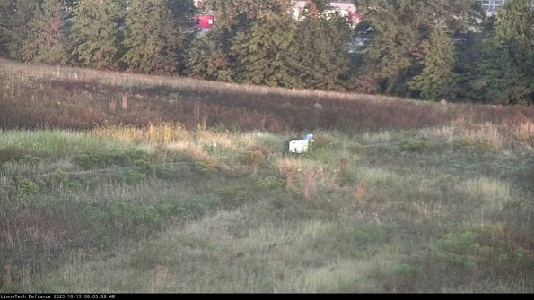 Cell 2 to 3_23-10-13_08-05-09-24