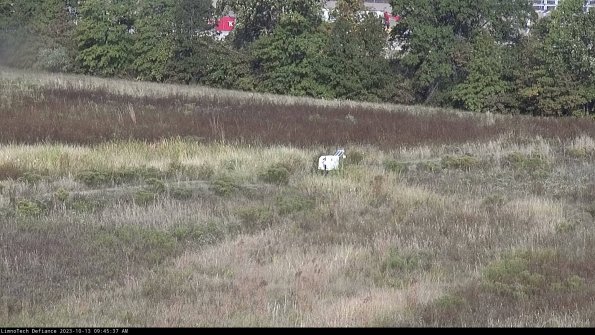 Cell 2 to 3_23-10-13_09-45-38-02