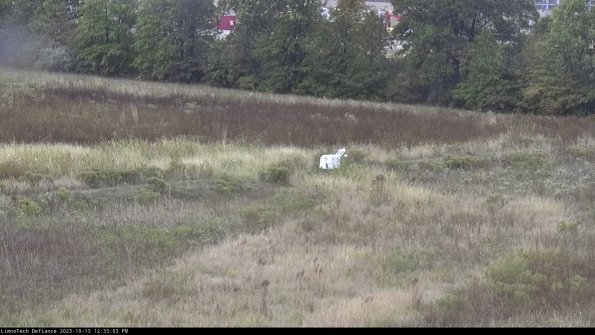 Cell 2 to 3_23-10-13_12-33-04-11