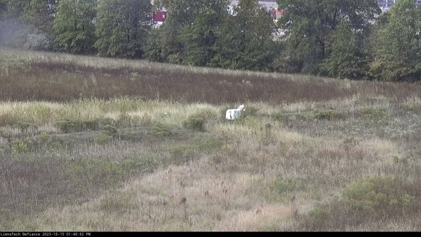 Cell 2 to 3_23-10-13_13-40-03-09