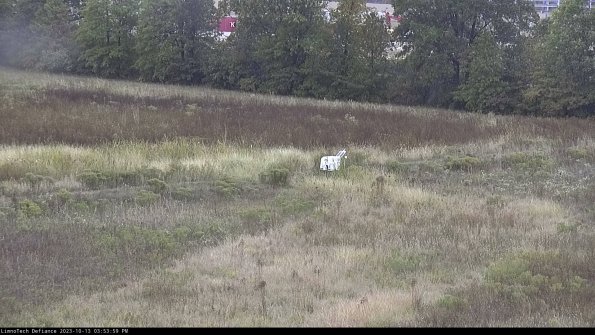 Cell 2 to 3_23-10-13_15-54-00-13