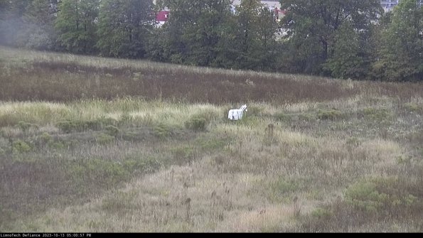 Cell 2 to 3_23-10-13_17-00-58-17