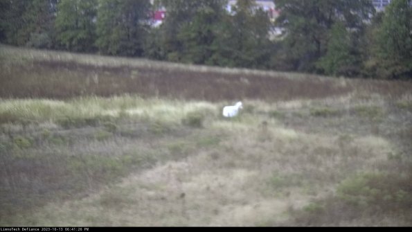 Cell 2 to 3_23-10-13_18-41-27-12