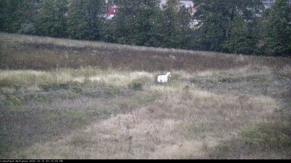 Cell 2 to 3_23-10-13_19-14-57-04