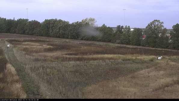 Cell 2_23-10-13_10-18-53-03