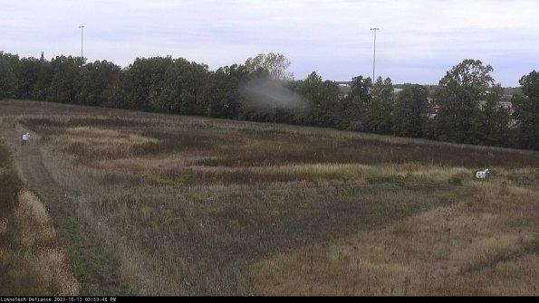 Cell 2_23-10-13_15-53-47-02