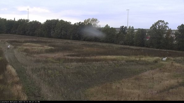 Cell 2_23-10-13_16-27-16-00