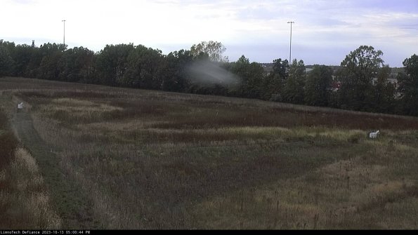 Cell 2_23-10-13_17-00-45-05