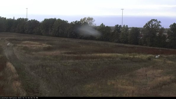 Cell 2_23-10-13_17-34-16-01