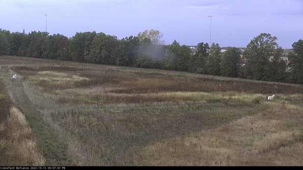 Cell 2_23-10-13_18-07-44-06