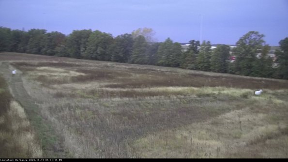 Cell 2_23-10-13_18-41-14-04