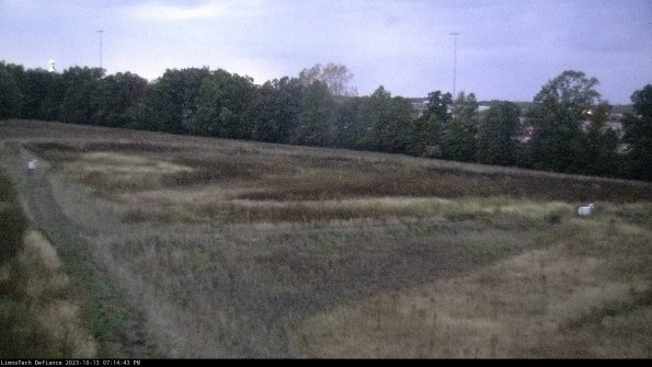 Cell 2_23-10-13_19-14-43-99