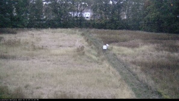 Cell 3 to 4_23-10-13_19-15-24-97