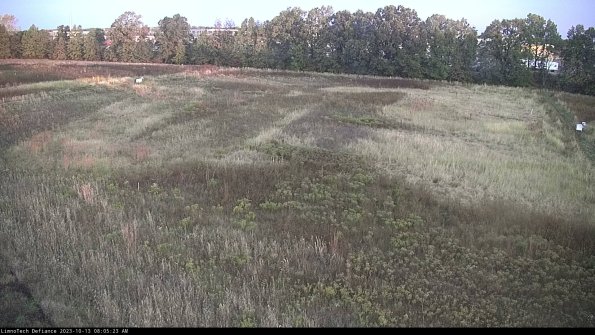 Cell 3_23-10-13_08-05-23-99