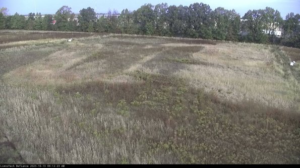 Cell 3_23-10-13_09-12-23-99