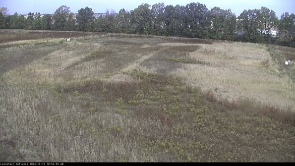 Cell 3_23-10-13_10-52-50-97