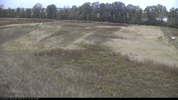 Cell 3_23-10-13_12-33-19-00