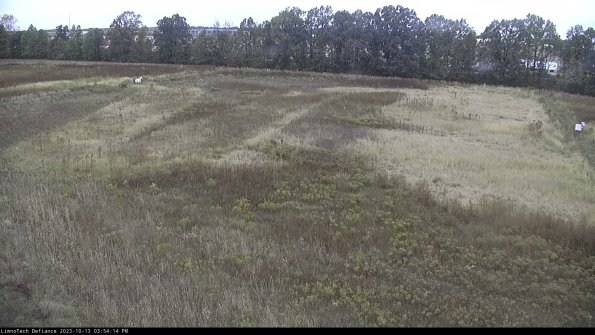 Cell 3_23-10-13_15-54-14-98