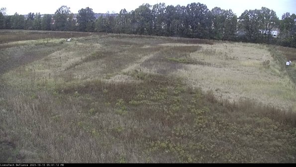 Cell 3_23-10-13_17-01-12-98