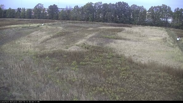 Cell 3_23-10-13_18-08-11-99