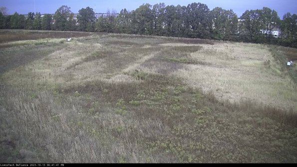 Cell 3_23-10-13_18-41-41-97