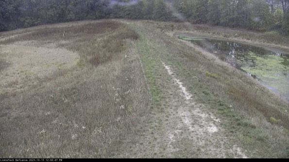 Cell 4 to Basin_23-10-13_12-00-48-00