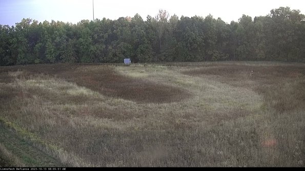 Cell 4_23-10-13_08-05-51-98