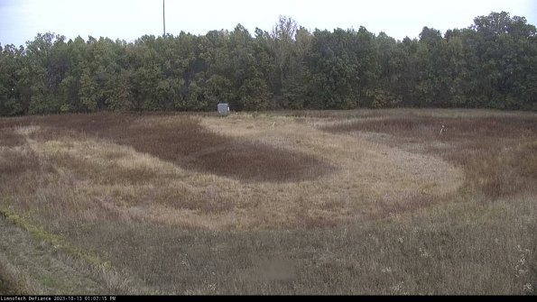 Cell 4_23-10-13_13-07-15-98